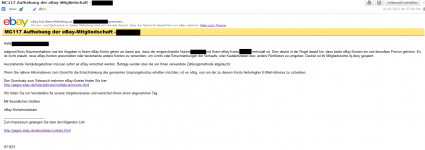 ebay.png