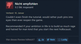 Steam Review.PNG