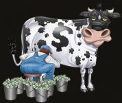 cash~cow.jpg